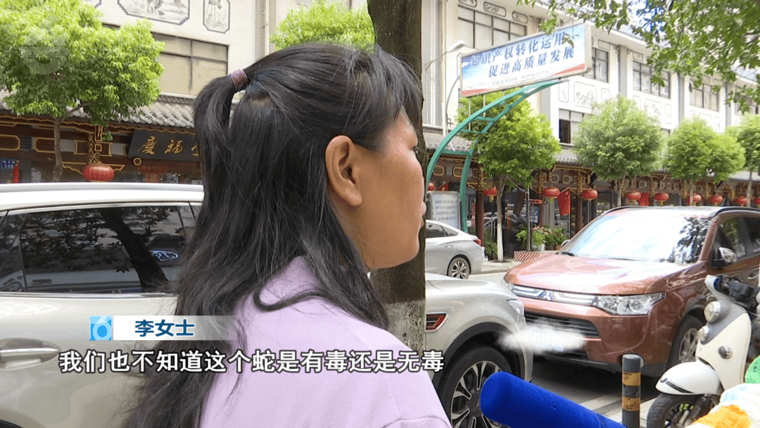 太嚇人！云南女子網(wǎng)購(gòu)塑料凳，拆開(kāi)竟發(fā)現(xiàn)一條蛇被膠帶粘在椅子上！還在動(dòng):廢舊物資回收
