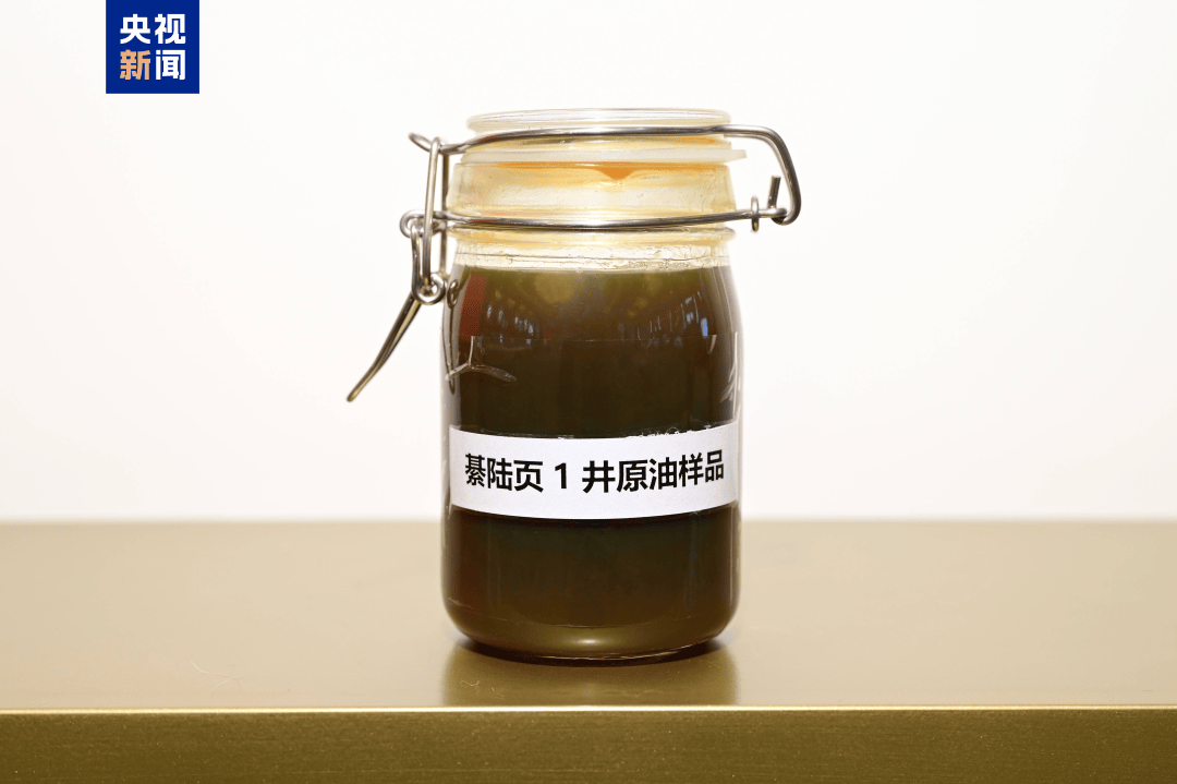 我國發(fā)現(xiàn)億噸級頁巖油資源<strong></p>
<p>廢舊物資回收
</strong>！:廢舊物資回收
