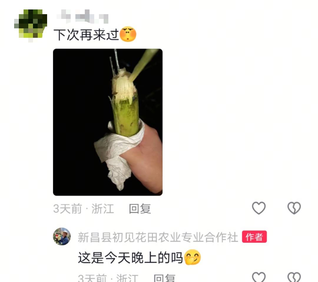 浙江一“可偷甘蔗地”成打卡點<strong></p>
<p>廢舊物資回收
</strong>，上百網友深夜體驗，80后“地主”：已收偷款6千元:廢舊物資回收
