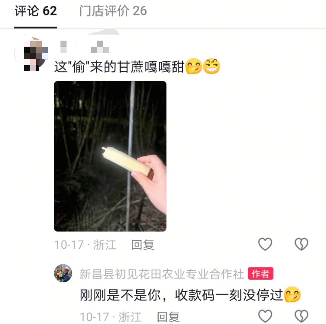浙江一“可偷甘蔗地”成打卡點<strong></p>
<p>廢舊物資回收
</strong>，上百網友深夜體驗，80后“地主”：已收偷款6千元:廢舊物資回收
