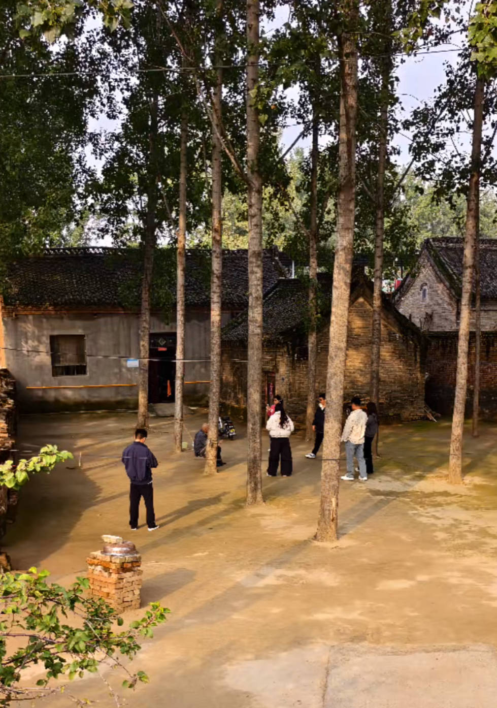 河南一大爺?shù)脑鹤右蚋蓛舫删W(wǎng)紅打卡地<strong></p>
<p>廢舊物資回收
</strong>，網(wǎng)友：像極了小時候家的樣子，想拖鞋光腳丫子走:廢舊物資回收
