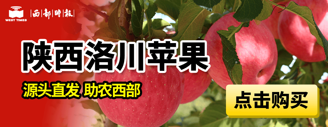 西部大事|中共中央召開黨外人士座談會 習(xí)近平主持并發(fā)表重要講話:廢舊物資回收